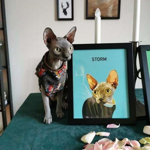Custom 1 Pet Portrait (Poster Only) photo review